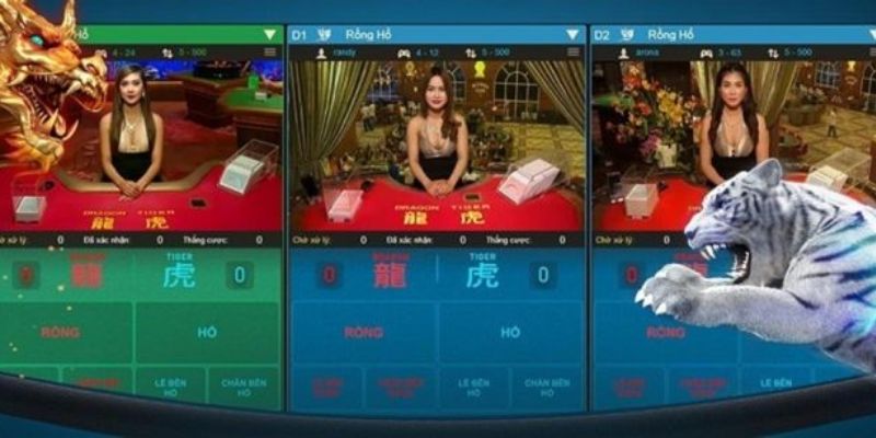 Hướng dẫn chơi Casino Rồng Hổ: Cách đặt cược và chiến lược